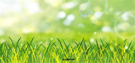 Grass Background, Photos, and Wallpaper for Free Download