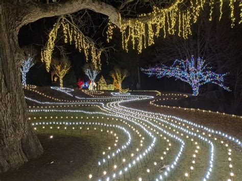 Winterlights brightens winter nights at Naumkeag | Arts and Culture ...