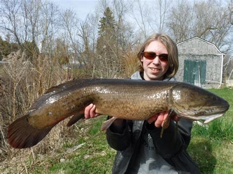 Bowfin UpperMi roughangler | www.roughfish.com