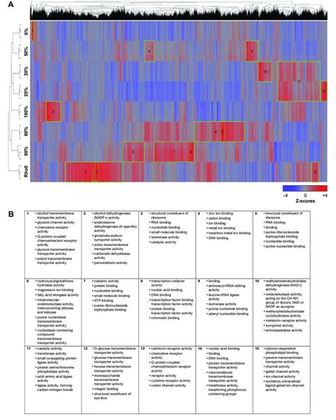 Fig. S3. Different heteroplasmy levels induce unique gene expression ...