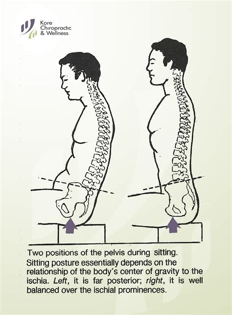 Rolling forward onto the sit bones helps to bring the body into balance ...