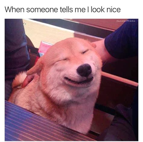 aww thanks! : r/memes