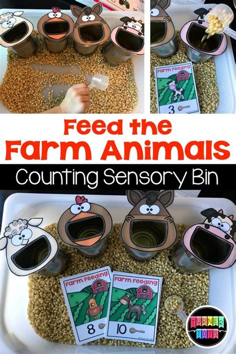 Farm Feeding Counting to 20 Math Game for a Farm Animals Sensory Bin ...