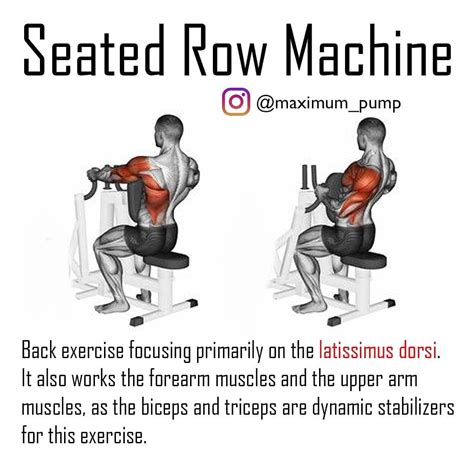 maximum_pump - Targeted Muscles doing Seated Row Machine...