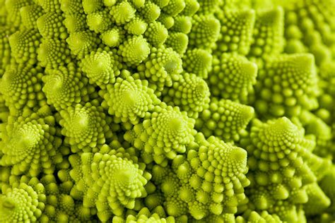 What Is Romanesco Broccoli?