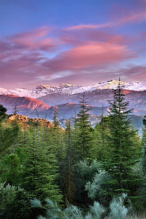 Sierra Nevada National park at sunset. Winter time Photograph by Guido ...