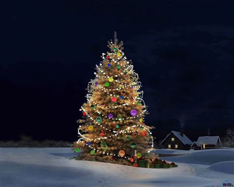 🔥 [75+] Christmas Tree Desktop Backgrounds | WallpaperSafari