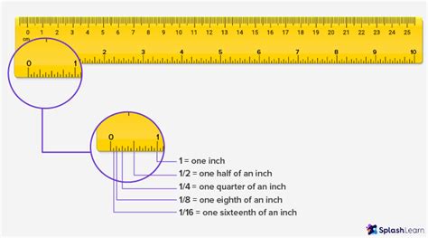 What is Ruler? Definition, Types, Examples, Facts