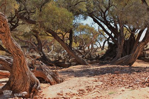 Wild Desert Landscapes | Visit Corner Country