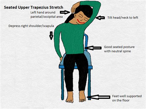 Stretching Exercises For Trapezius Muscle