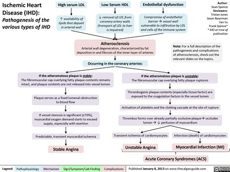 Pin on Cardiac pathology