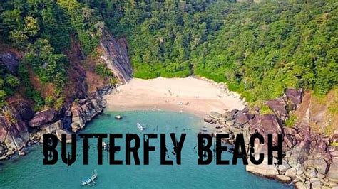 Butterfly Beach, Goa | How to reach Butterfly Beach | South Goa ...