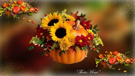 Fall Flowers Wallpaper - WallpaperSafari