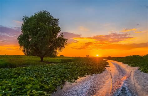 Colorful summer sunset in the Volga River delta · Russia Travel Blog