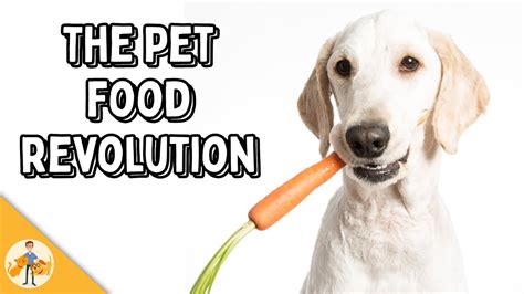 What Is The Best Food To Feed A Dog With Colitis