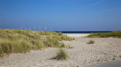 Amager Beach Park Tours - Book Now | Expedia