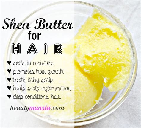 Properties & Benefits of Shea Butter for Hair - beautymunsta - free ...