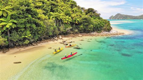 Abel Tasman Kayak Day Trips - Wilsons Abel Tasman