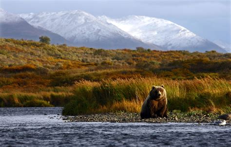 Kodiak Island - WorldAtlas