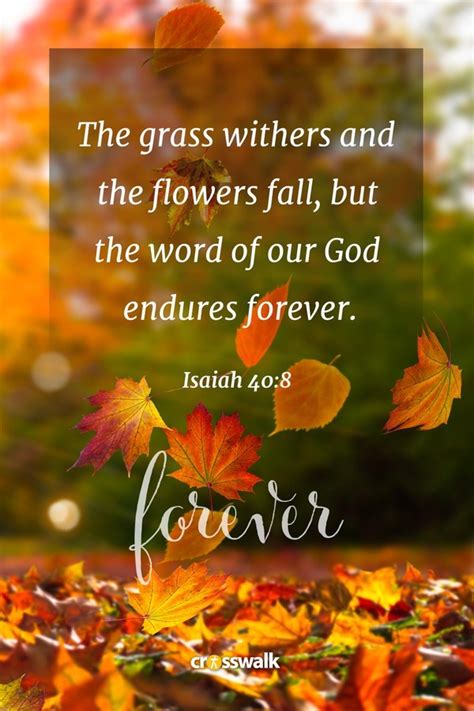 15 Beautiful Fall Bible Verses for the Autumn Season - Bible Study