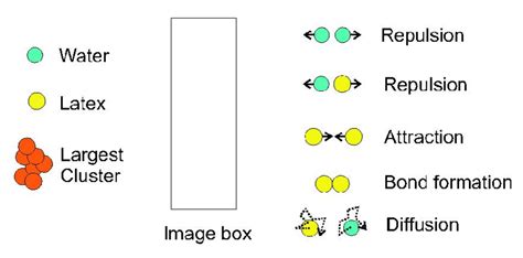 7: The elements of the particle simulation model. | Download Scientific ...