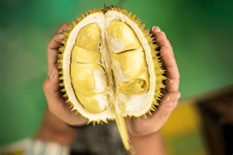 What Is Durian Fruit?