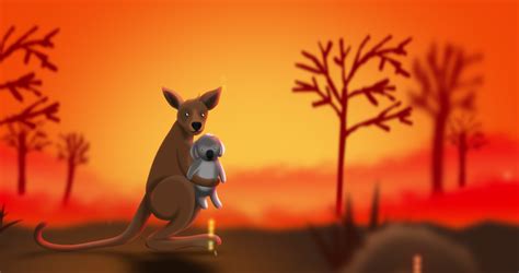 kangaroo carrying cute small koala while Stock Footage Video (100% ...