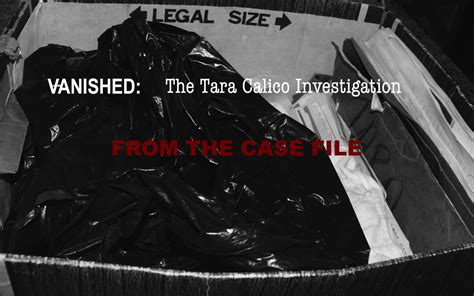 Case File — The Tara Calico Investigation