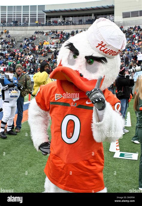 Dec. 31, 2010 - El Paso, Texas, U.S - The Miami Hurricanes mascot gives ...