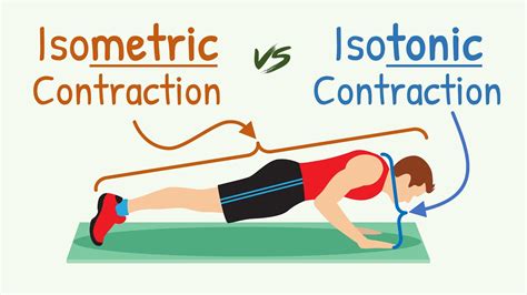 Isometric Contraction Exercises