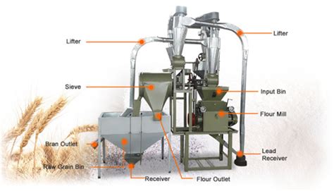 How does a flour mill process line produce flour?