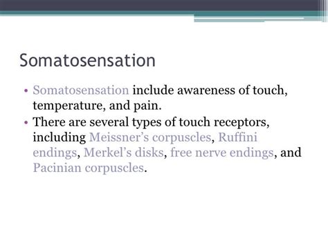 Somatosensation