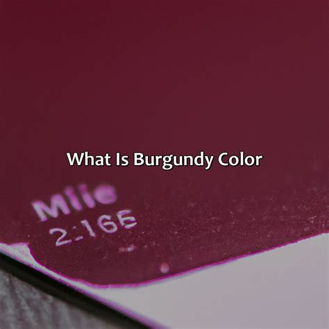 What Is Burgundy Color - colorscombo.com