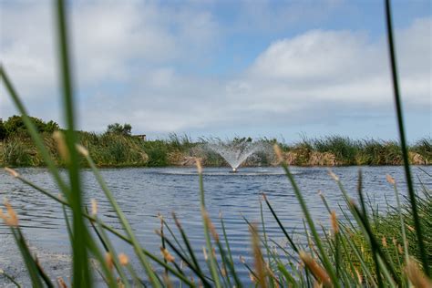 Pezula Championship Golf Course – Cathé Photography