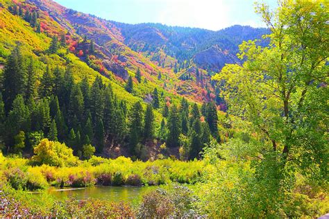 Moving to Logan, Utah: Embracing Scenic Beauty and Academic Excellence ...