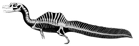 Speculative Juvenile Spinosaurus : r/Paleontology