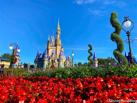 8 WEIRD Disney World Rules and Why They Exist | the disney food blog