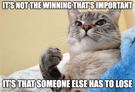 Winner Cat Meme