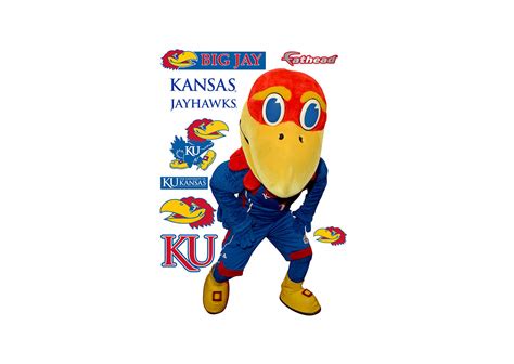 Kansas Jayhawks Mascot - Big Jay Wall Decal | Shop Fathead® for Kansas ...