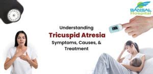 Understanding Tricuspid Atresia: Symptoms, Causes, And Treatment