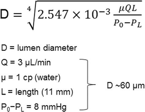 Hagen-Poiseuille equation for laminar flow 60 μm is an example using ...