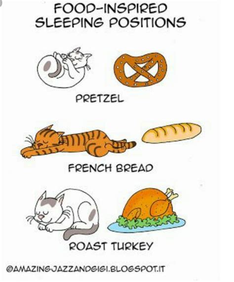 Foods inspired by sleeping positions - Meme by TordY :) Memedroid