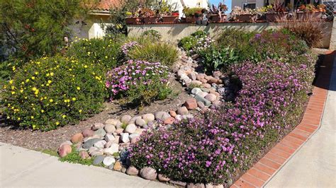 Xeriscape Texas: A Guide to Water-Wise Landscaping in 2023