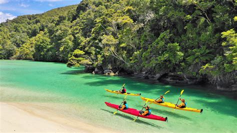 Abel Tasman 3 Day Guided Kayak & Walk - Wilsons Abel Tasman