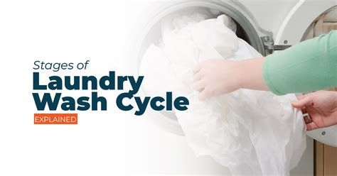 Laundry Solved: Exploring Each Cycle of Laundry Washing | ORAPI Asia