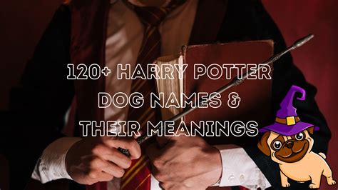 120+ Harry Potter Dog Names (& Their Meanings!)