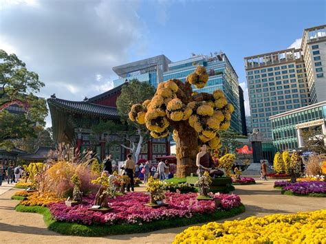 Jogyesa Temple: How To Get There & What To See