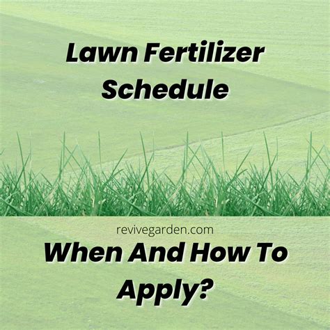 Lawn Fertilizer Schedule: When And How To Apply?