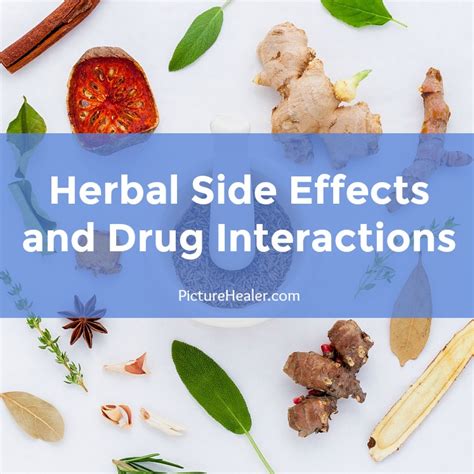 Herbal side effects and drug interactions — Picture Healer - Feng Shui ...