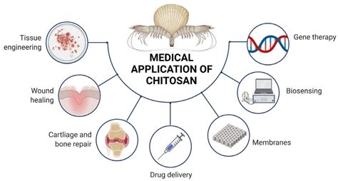 General Characteristics, Biomedical and Dental Application, and Usage ...